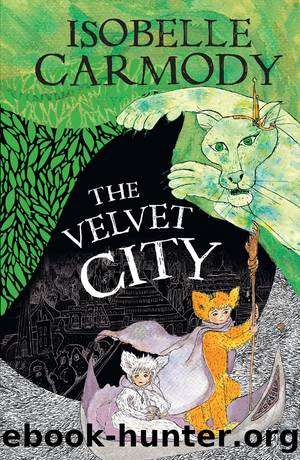 The Kingdom of the Lost: Book 4: The Velvet City by Isobelle Carmody