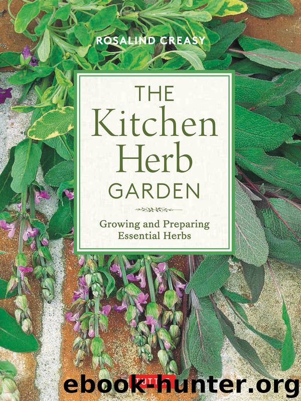 The Kitchen Herb Garden by Rosalind Creasy