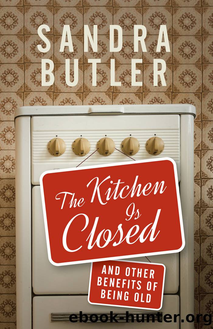 The Kitchen Is Closed by Sandra Butler