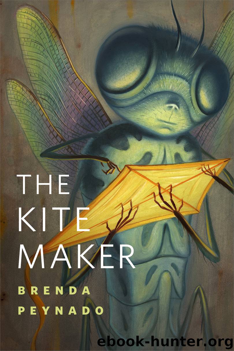 The Kite Maker by Brenda Peynado