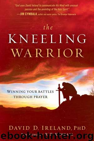 The Kneeling Warrior by David D. Ireland