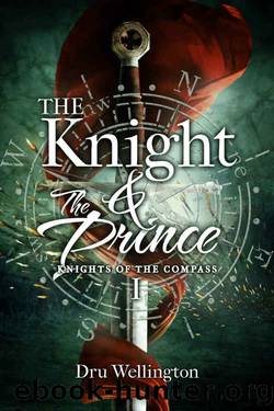 The Knight and the Prince by Anyta Sunday & Dru Wellington