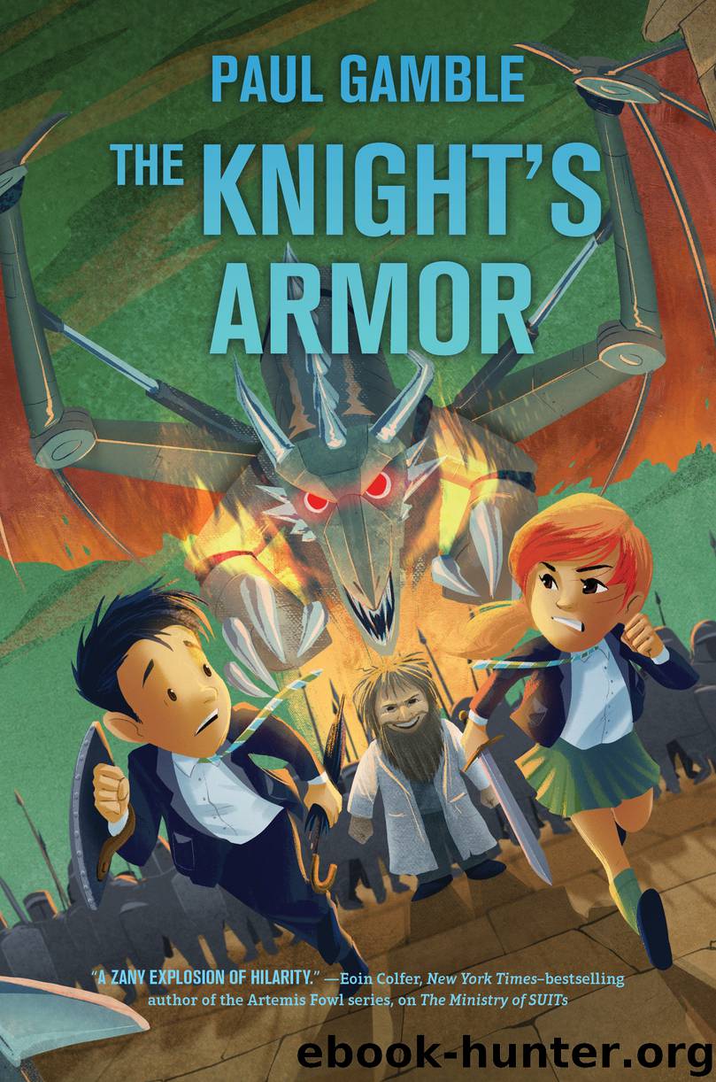 The Knight's Armor by Paul Gamble
