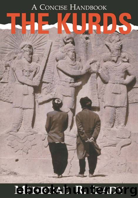 The Kurds by Mehrdad Izady