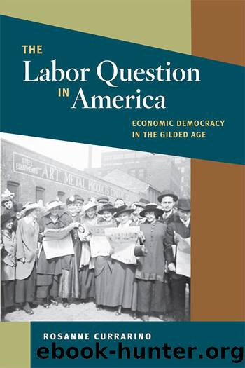 The Labor Question in America: Economic Democracy in the Gilded Age by Rosanne Currarino
