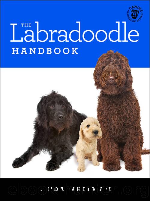 The Labradoodle Handbook by Linda Whitwam