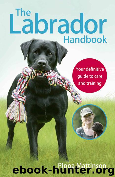 The Labrador Handbook: The definitive guide to training and caring for your Labrador by Pippa Mattinson