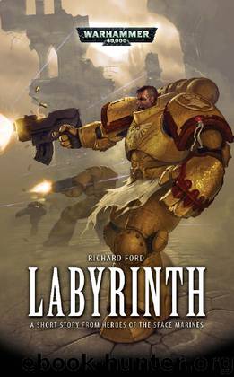 The Labyrinth (Heroes of the Space marines) by Richard Ford