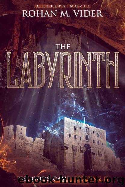 The Labyrinth (The Gods' Game, Volume II): A LitRPG novel by Rohan M. Vider
