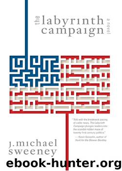 The Labyrinth Campaign by J. Michael Sweeney