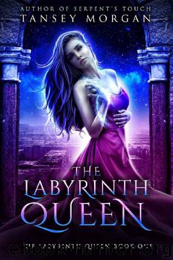 The Labyrinth Queen: A Reverse Harem Fantasy by Tansey Morgan