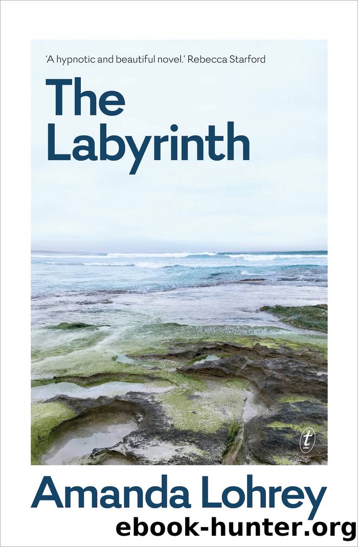 The Labyrinth by Amanda Lohrey