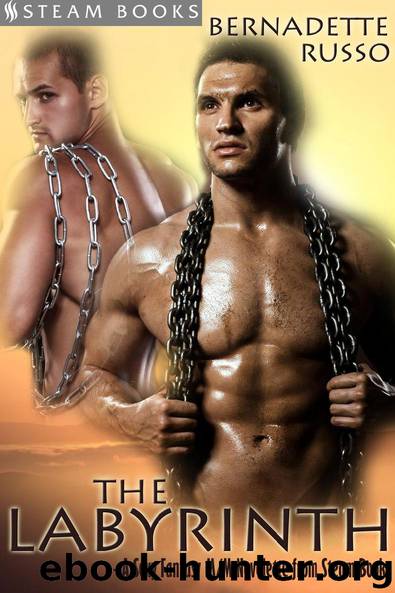 The Labyrinth by Bernadette Russo