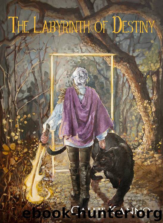 The Labyrinth of Destiny by Callie Kanno