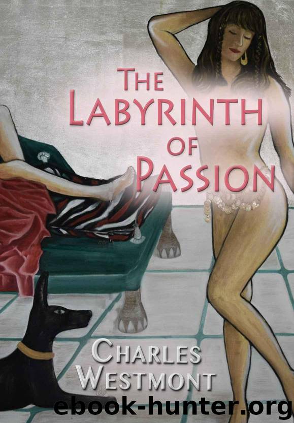 The Labyrinth of Passion (romantic experiences) by Westmont Charles