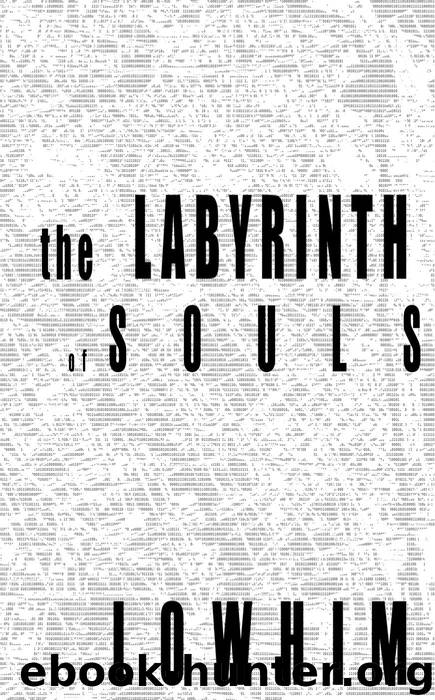 The Labyrinth of Souls by Nelson Lowhim