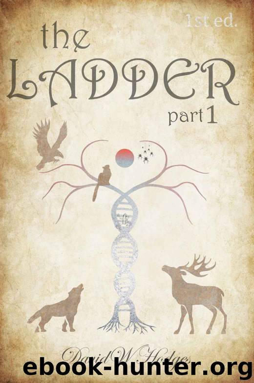 The Ladder: Part 1 by David Hodges