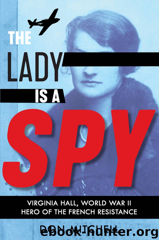 The Lady Is a Spy by Don Mitchell