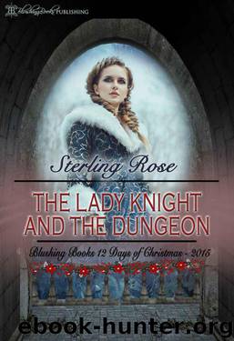 The Lady Knight And The Dungeon by Sterling Rose