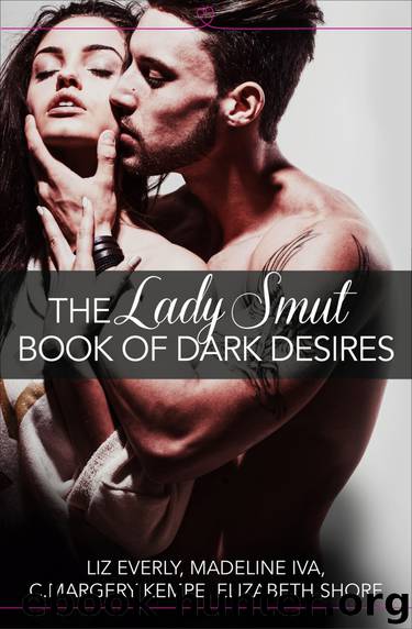 The Lady Smut Book of Dark Desires (An Anthology) by Liz Everly