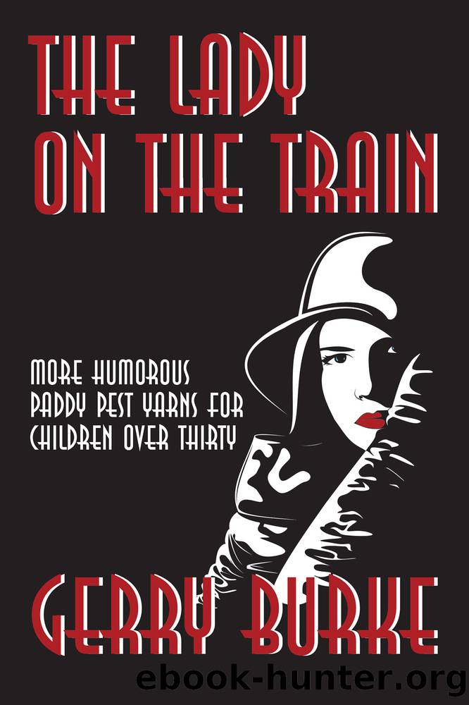 The Lady on the Train by Gerry Burke