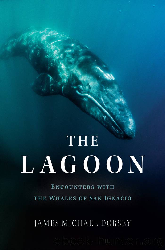 The Lagoon by James Michael Dorsey