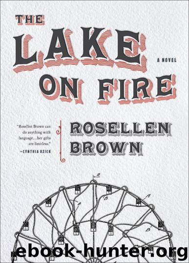 The Lake on Fire by Rosellen Brown