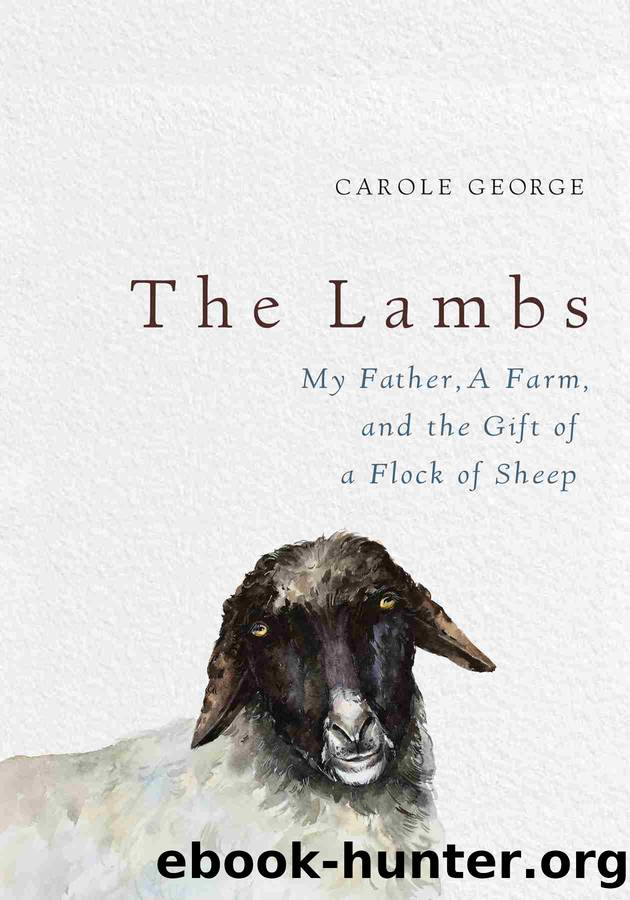 The Lambs by Carole George
