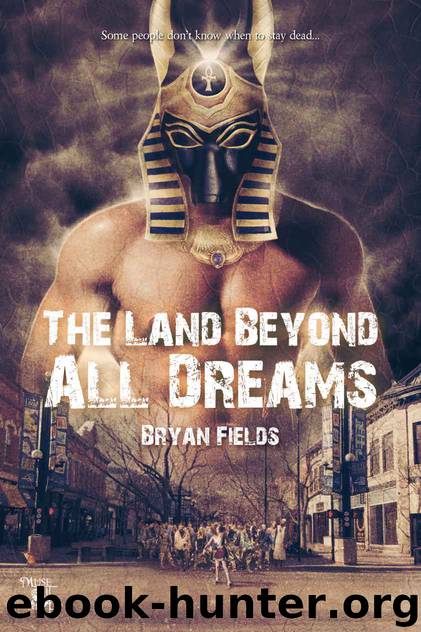 The Land Beyond All Dreams by Fields Bryan