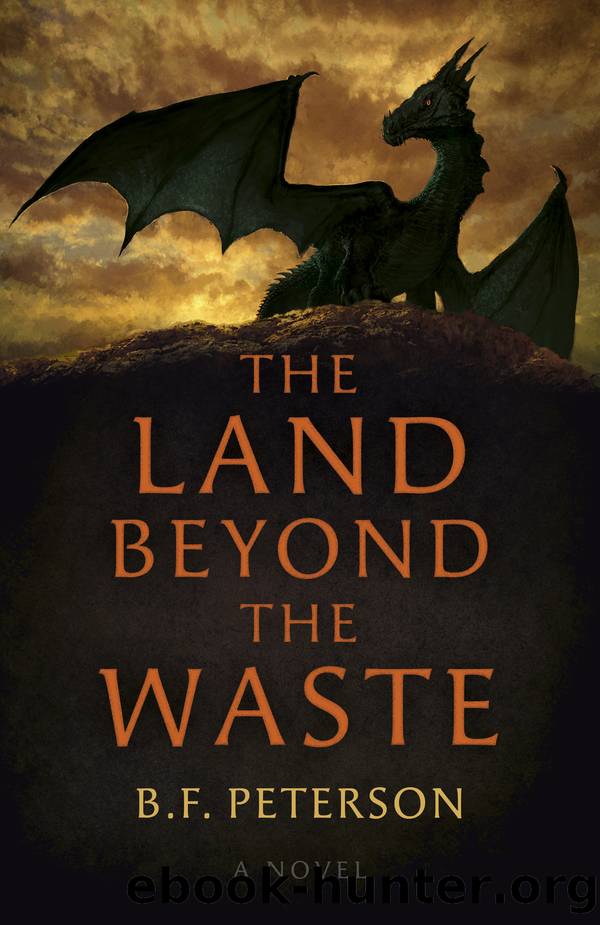 The Land Beyond the Waste by B. F. Peterson