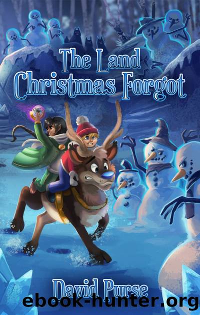 The Land Christmas Forgot by David Purse