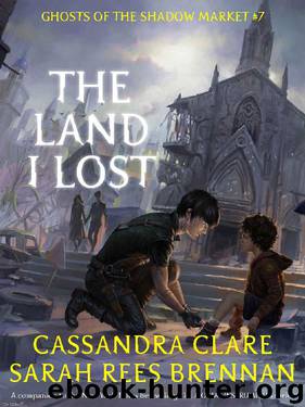 The Land I Lost (Ghosts of the Shadow Market Book 7) by Cassandra Clare & Sarah Rees Brennan