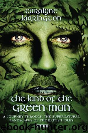 The Land of the Green Man by Carolyne Larrington