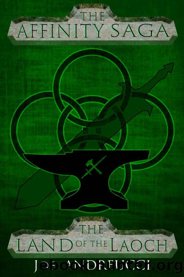 The Land of the Laoch (The Affinity Saga Book 2) by Joe Andreucci