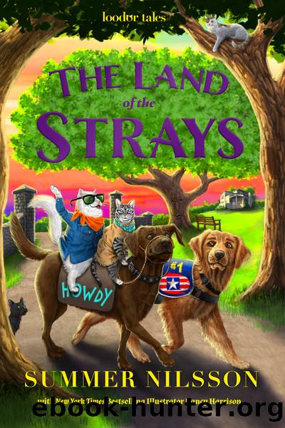 The Land of the Strays (Loodor Tales) by Summer Nilsson