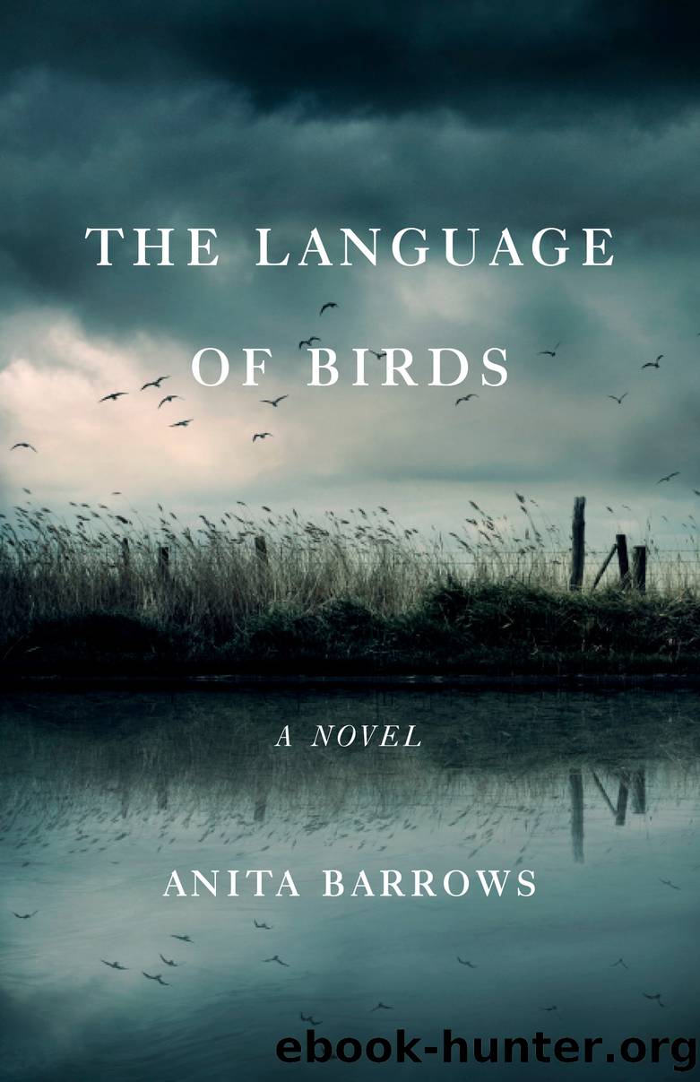 The Language of Birds by Anita Barrows