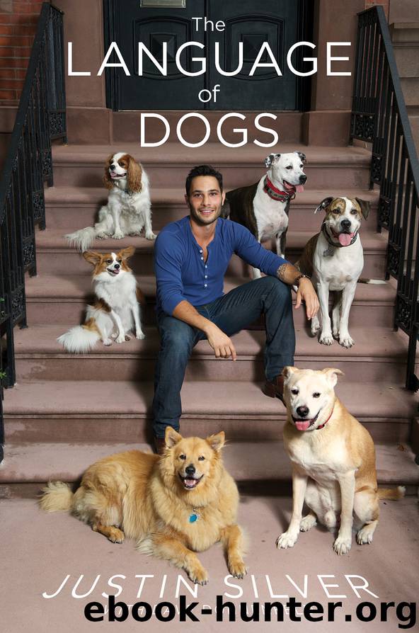 The Language of Dogs by Justin Silver