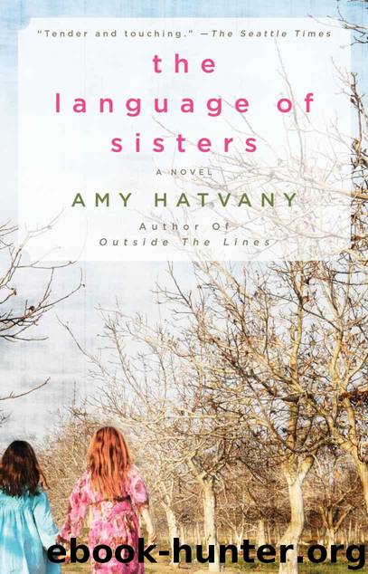 The Language of Sisters by Amy Hatvany