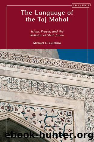 The Language of the Taj Mahal by Michael D. Calabria