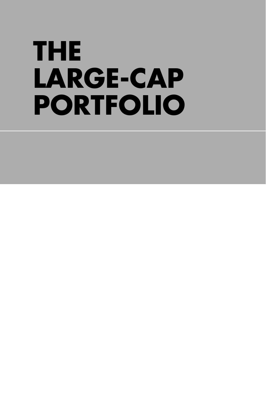 The Large-Cap Portfolio, + Web site: Value Investing and the Hidden Opportunity in Big Company Stocks by Thomas Villalta