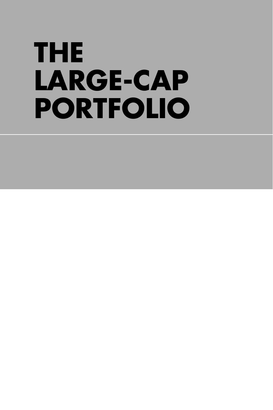 The Large-Cap Portfolio: Value Investing and the Hidden Opportunity in Big Company Stocks by Thomas Villalta(auth.)