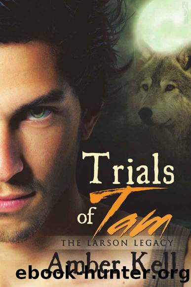 The Larson Legacy 1 - Trials of Tam by Amber Kell