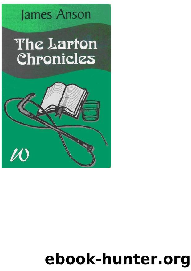 The Larton Chronicles by James Anson