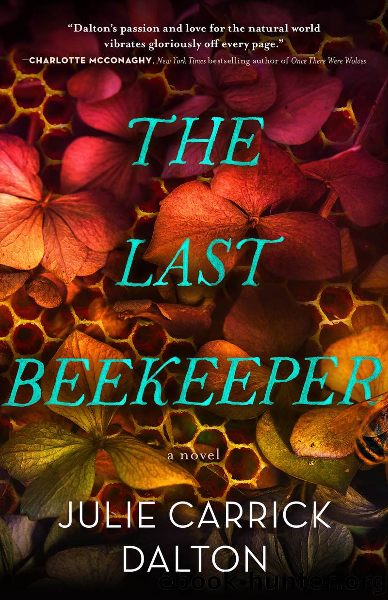 The Last Beekeeper by Julie Carrick Dalton