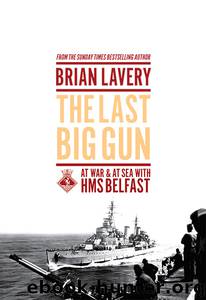 The Last Big Gun by Brian Lavery