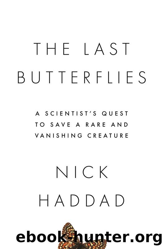 The Last Butterflies by Haddad Nick;