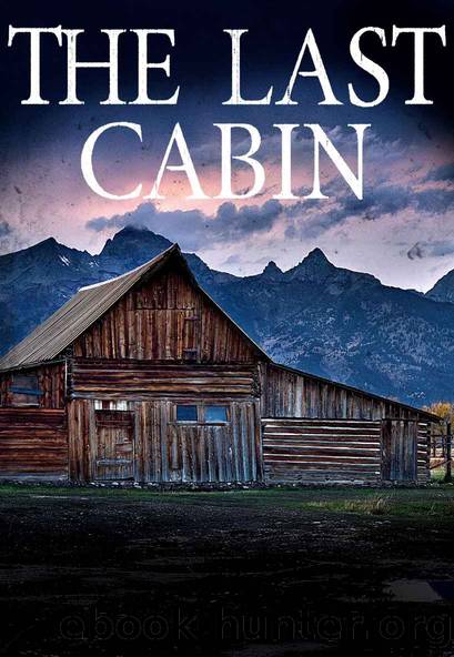 The Last Cabin: EMP Survival in a Powerless World by James Hunt