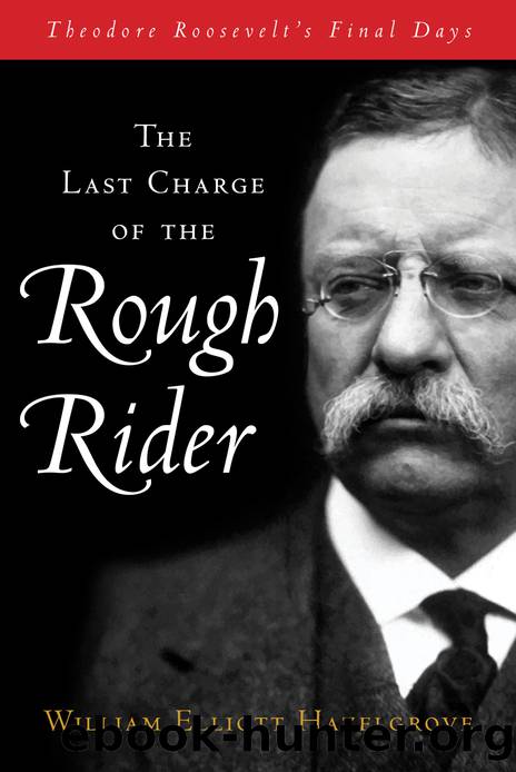 The Last Charge of the Rough Rider by William Hazelgrove