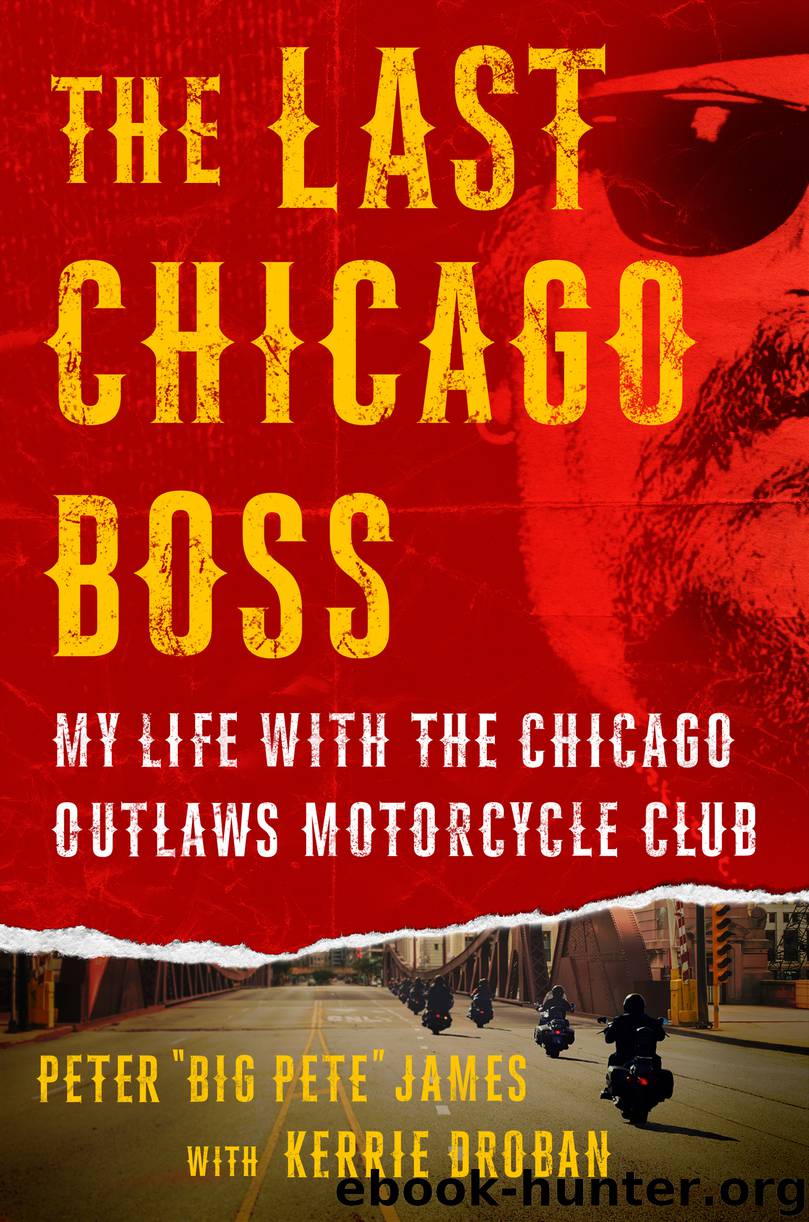 The Last Chicago Boss by Kerrie Droban