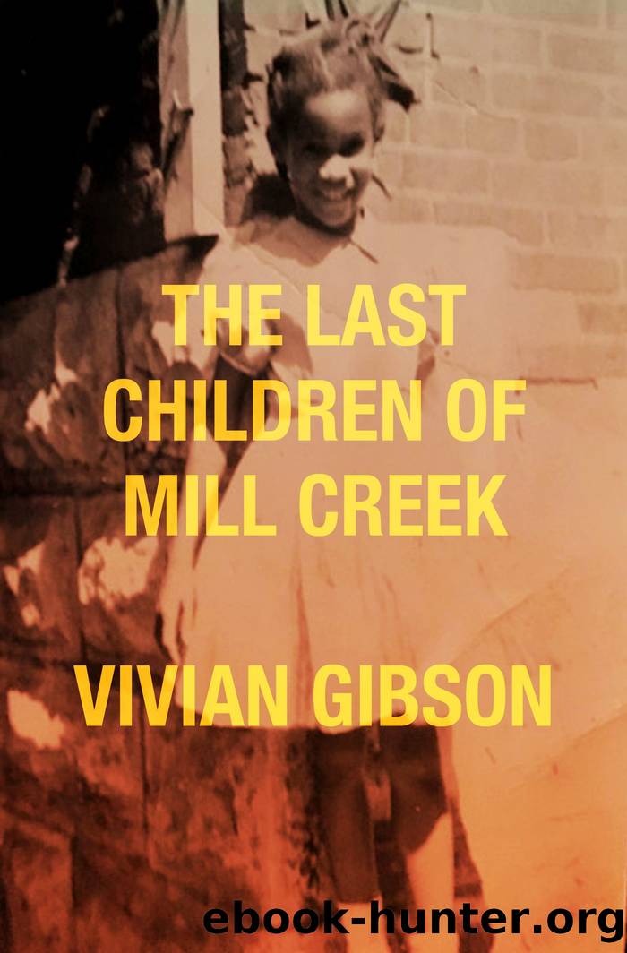 The Last Children of Mill Creek by Vivian Gibson